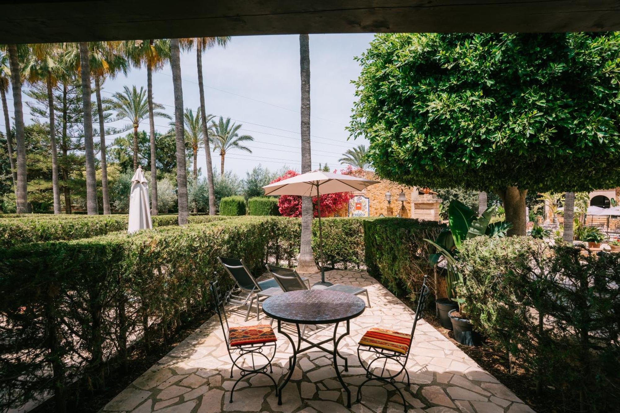 Suite Terrace